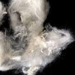 Bosilun fiber Factory 100% Virgin Psf 1.2d X 38 Mm 1.2d*51mm 1.56dtex/1.4d*38mm