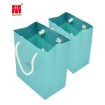 Die Cut Recycled Paper Gift Bags