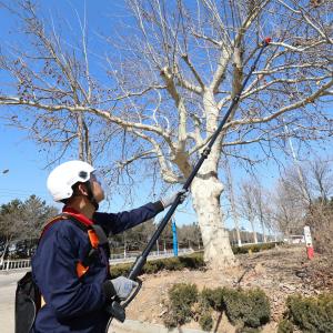 Quality Carbon Fiber Telescopic Pole Chainsaw 3m 5m 7m Adjustable Chain Saw Extension Pole wholesale