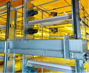 Quality Plastic Broiler Poultry Equipment Full Automatic Broiler Pan Feeder Customized wholesale