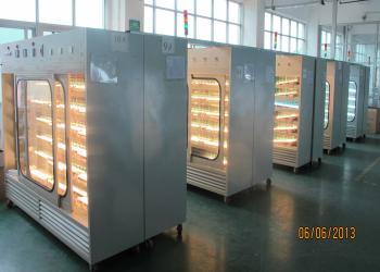 Surplus (China) Lighting Industrial Co., Ltd