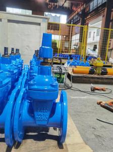 Quality F4 Flanged Resilient Pipe Gate Valve DN50-DN800 for industrial wholesale