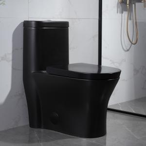 Quality 300mm Siphonic One Piece Toilet American Standard Black Porcelain wholesale