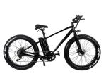 500W 750W Fat Tyre Electric Sport Bike With Double Disc Brake LCD Display High