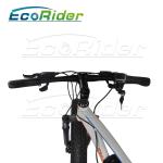 26 Inch Tires 2 Wheel Electric Bike Outdoor Off Road Dirt Electric Snowmobile