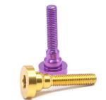 round head ROHS Anode Stainless Steel Metal Screws Fine or coarse thread