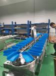 1000g Vegetable Fish SUS304 Fruit Multihead Weigher