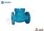Cast Steel Swing Type Non Return Valve DIN 3840 With Flanged End Connections