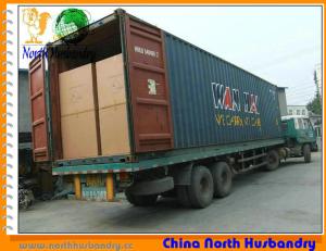 Quality Poultry Cooling Pad in Weifang, Shandong, China wholesale