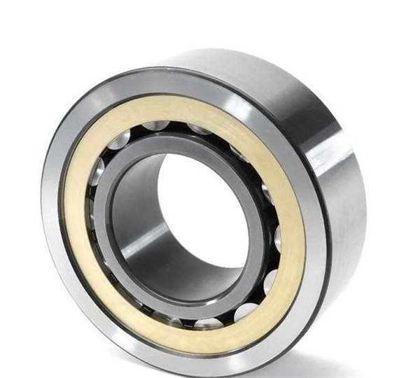 SL185013 Double Row Full Complement Roller Bearing