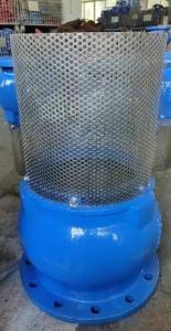 Quality ductile iron flanged ANSI foot valve wholesale
