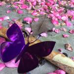 Candy Purple Chrome Effect Electrostatic Powder Coating Spray Paint for Steel