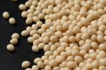 Bookbinding EVA Hot Melt Adhesive Ethylene Vinyl Acetate Granules