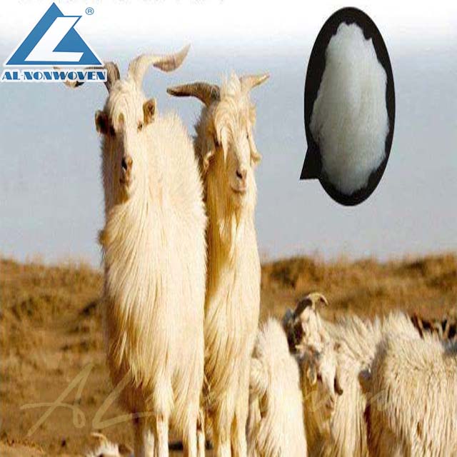 e.jpg