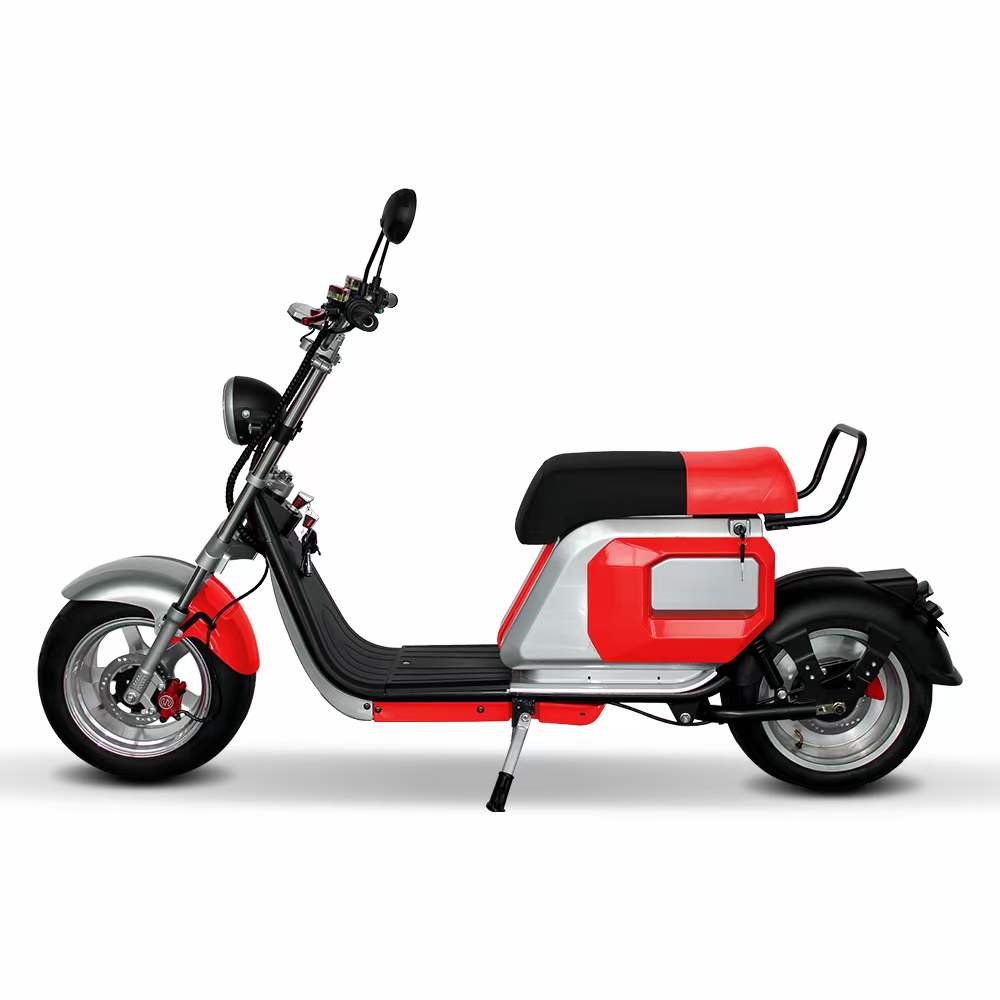 48V 13ah Battery E-bike Seamless Steel Pipe Aluminum Inch 60V3000W Brushless for Affordable Electric Bicycles