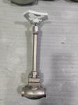 Stainless Steel PN50 Low Temperature Long Stem Globe Valve