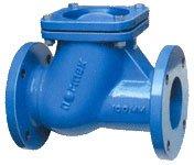 Quality API NRV Check Valve wholesale