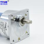 100kg DC Spur Gear Motor 12V 100 Rpm High Torque DC Motor
