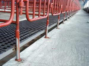 Quality Eurotier Hannover 2010 Hannover Germany - - NorthHusbandry Machinery wholesale
