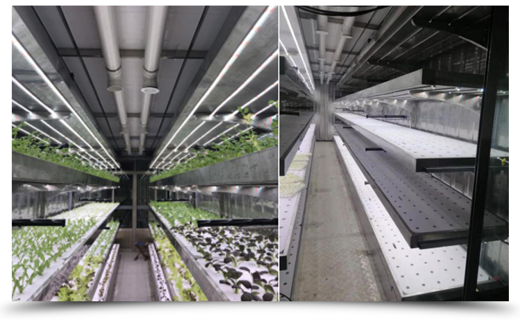 Ventilation fan 40ft Container Greenhouse for Advanced Plant Growth
