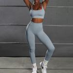 Quality 11 Colors Seamless Gym Clothing Outfits Women Fitness Yoga Set
