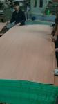 Recon veneer