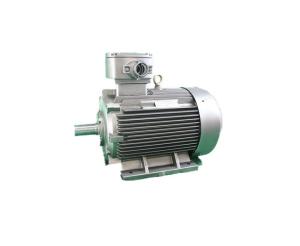 Quality YBX3 200L-4 Three Phase Asynchronous Motor 30kW IMB3 Industrial 3 Phase Motors wholesale