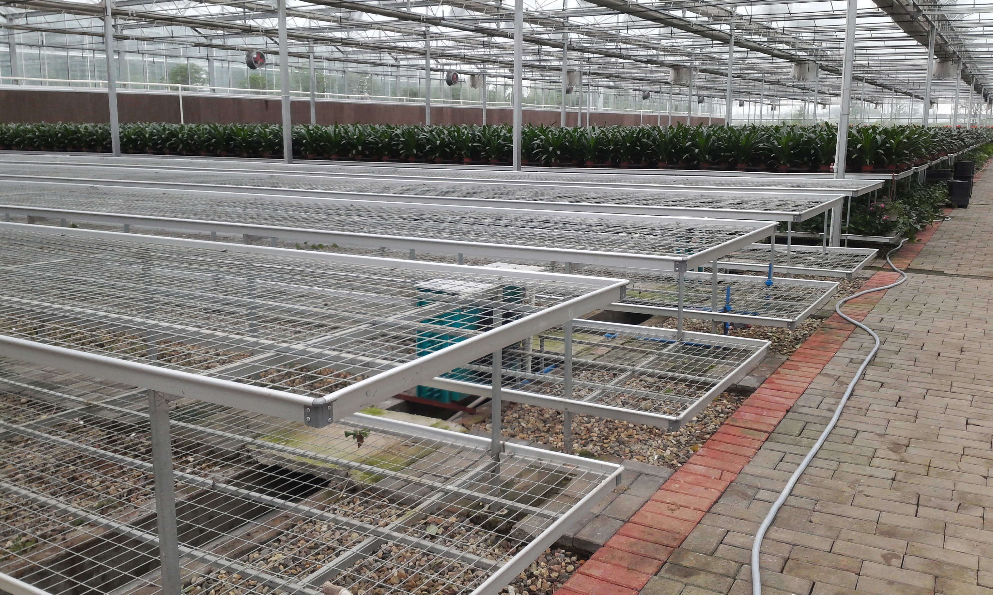 Mobile Seedbeds For Easy Movement And Increased Crop Yields