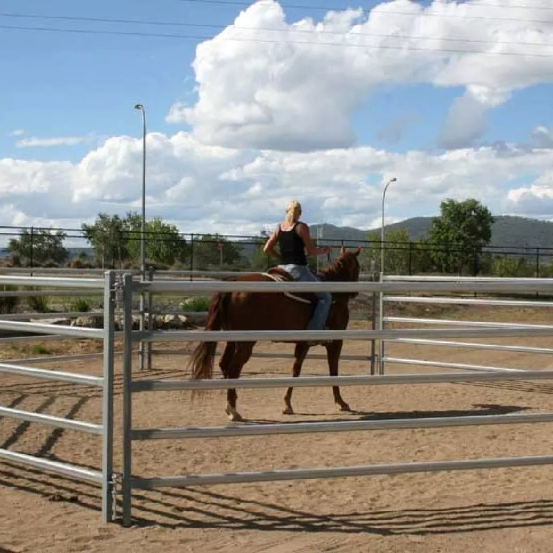 Australia Horse Galvanized Livestock Fencing Corral Welded Wire Horse Panels