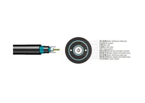 Quality GYXTW53 Central Tube Direct Burial Outdoor Fiber Optic Cable 2 to 24 Fiber Count wholesale