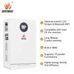Wall Mounted 200Ah 10.24kwh Lifepo4 Battery Storage Solution 51.2V Lifepo4 Solar