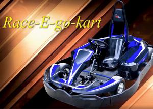 Quality Entertainment Park Mini Racing Go Karts 4KW Eco Friendly wholesale