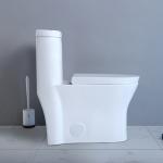 Commercial Ada Bathrooms Toilets For Physically Handicapped Challenged Person