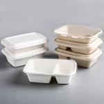 Leak Proof Sugarcane Fiber Pulp Disposable Food Container Biodegradable