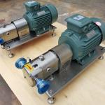 Hydrogen Sulfide Lobe Rotor Pump Multifunctional Anti Corrosion