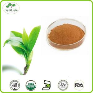 Quality Health Product Green Tea Extract 98%Tea Polyphenol wholesale