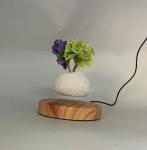 Hotsale magnetic levitation flying air bonsai plant tree flowerpot planters PA