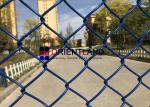 Blue Vinyl Coated Cyclone Wire Mesh Security Fencing Residential Grade