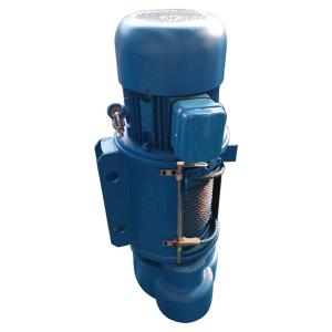 Quality Stainless Steel Explosion Proof Electric Hoist 5 Ton 12m 380V wholesale