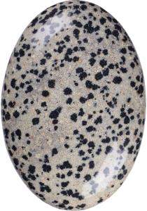 Quality Natural Polished Dalmatian Jasper Palm Stone Oval Shaped Dalmatian Crystal Energy Stone for Buildings Decoration wholesale