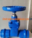 DN50 PN16 GGG50 socket gate valve supplier