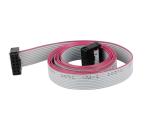 Flat Ribbon Cable 2.54mm Pitch 2 Row 10 Pin Female to Female Wires IDC Ribbon