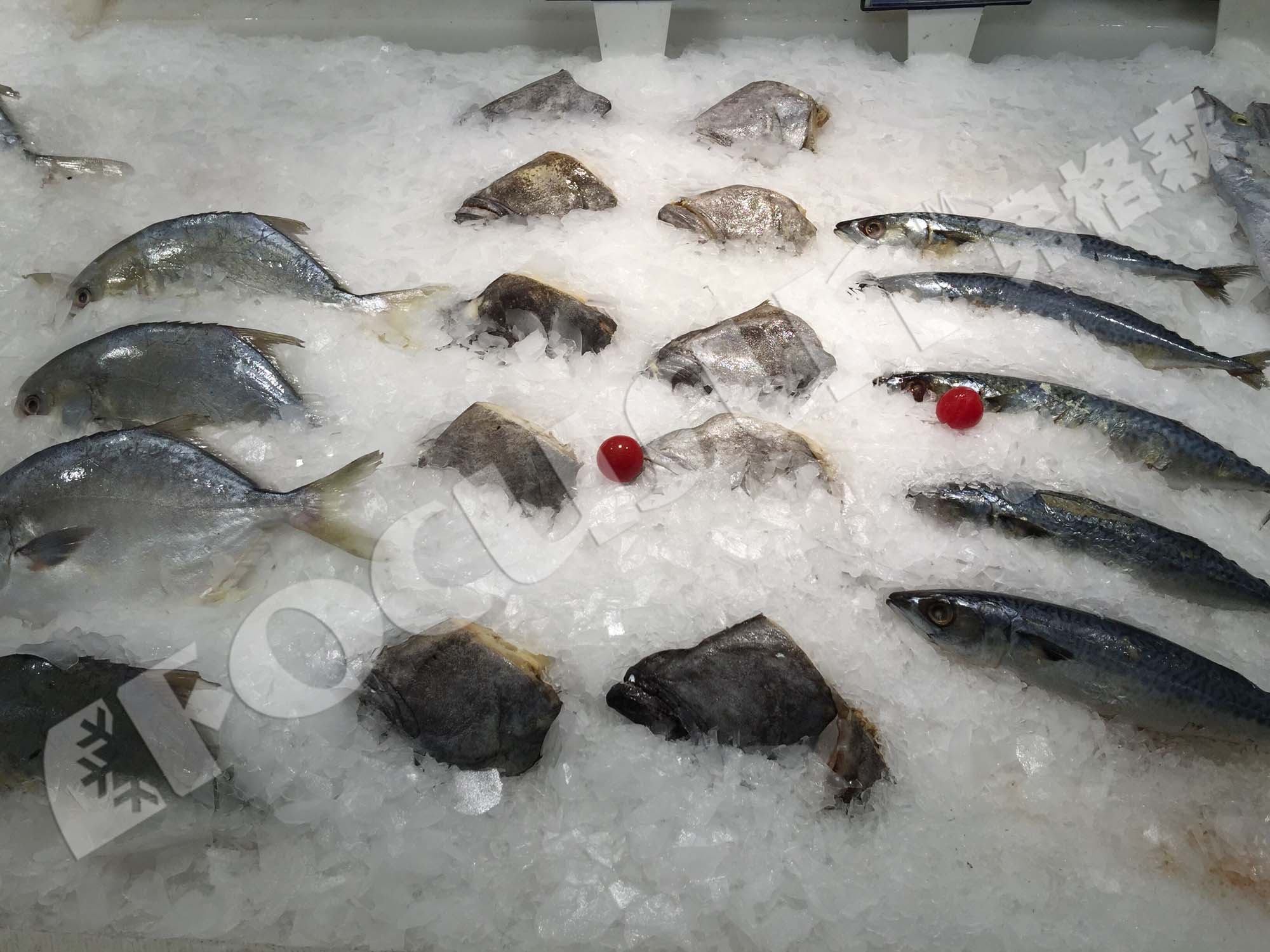 5T Flake Ice Machine for Seafood Cooling Provided Video Inspection Ice Storage 0.5T-30T