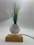 Magnetic levitation Plant Pot & Base Creative Potted Plants flower plant pot