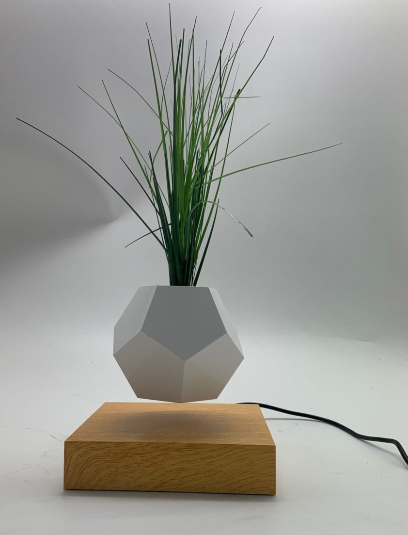 magnetic suspension air bonsai, flying plant ,levitation flower pot