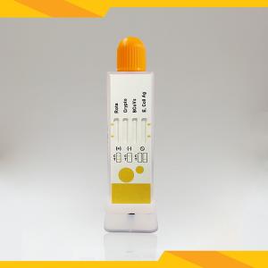 Quality Rotavirus+Cryptosporidia+Coronavirus +E. Coli Antigen Combo Rapid Test wholesale