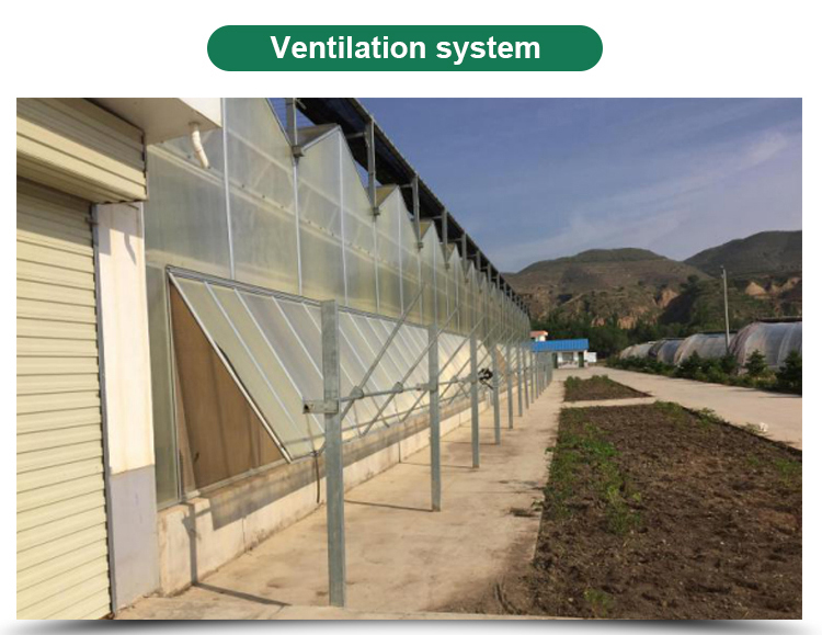 Multi-Span Agricultural Greenhouses for Sustainable Fruits and Vegetables Cultivation