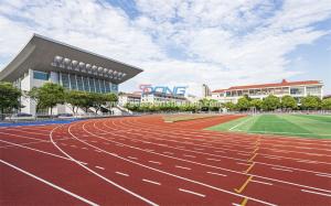 Quality IAAF Slipproof Synthetic Sports Flooring Red Colour Reclaimed Rubber Material wholesale