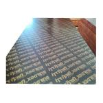 Construction Two Times Hot Press 4x8 Plastic Film Faced Ply