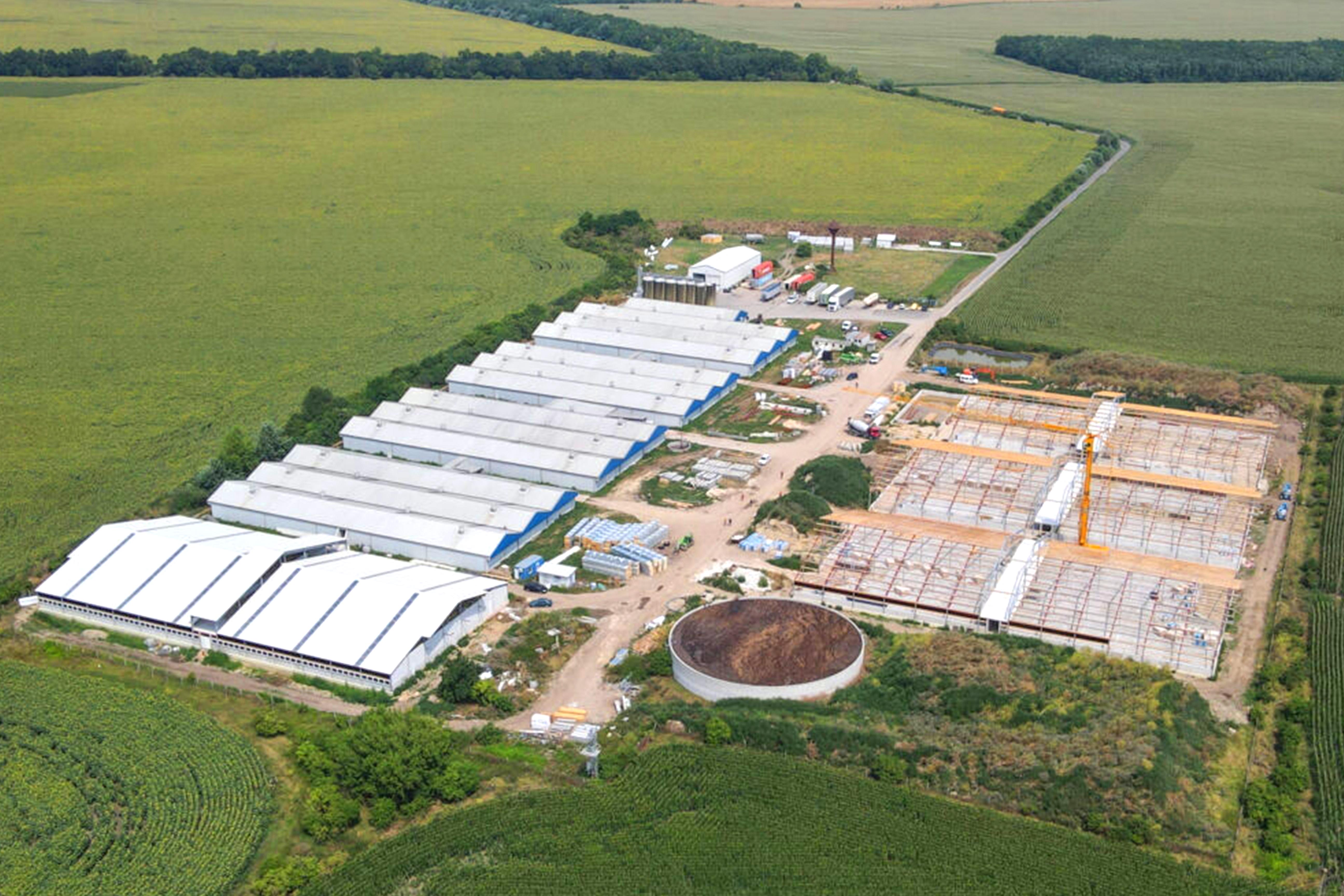 Aluminum Alloy Window and Q345 Prefab Steel Cow Farm Building for Dairy Cow House